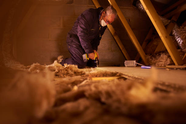 Eco-Friendly or Green Insulation Solutions in Edwardsville, KS